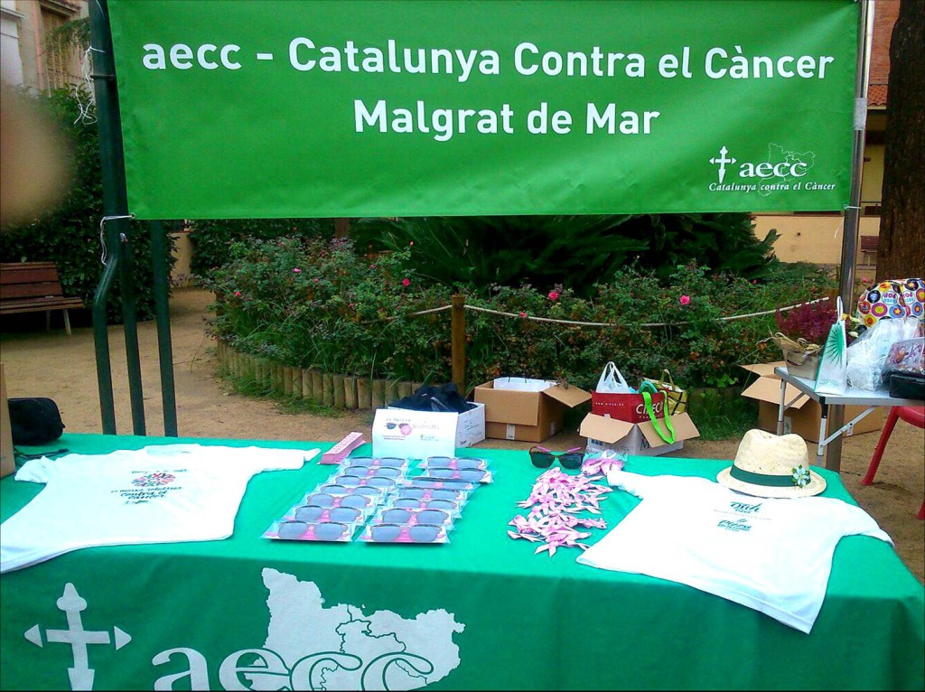 marcha solidaria contra el cancer